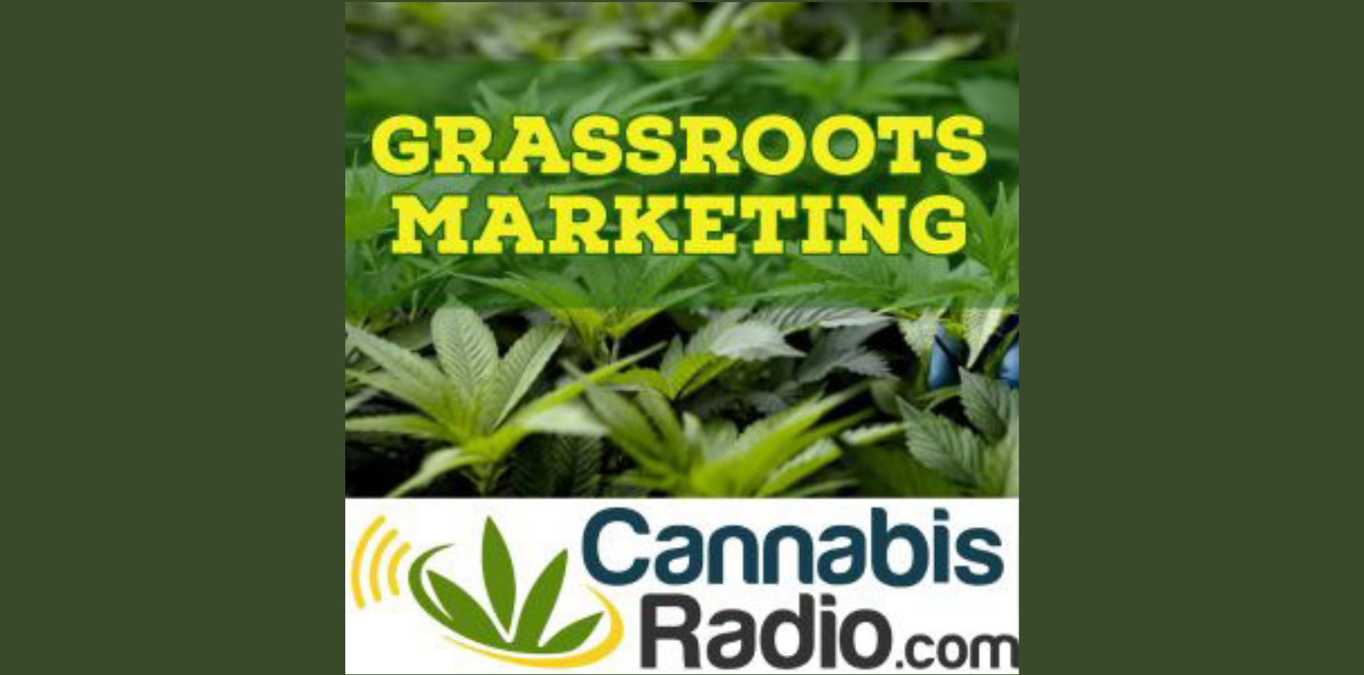 Pharmaceutical Cannabis and The Influence From Big Pharma – Grassroots Marketing