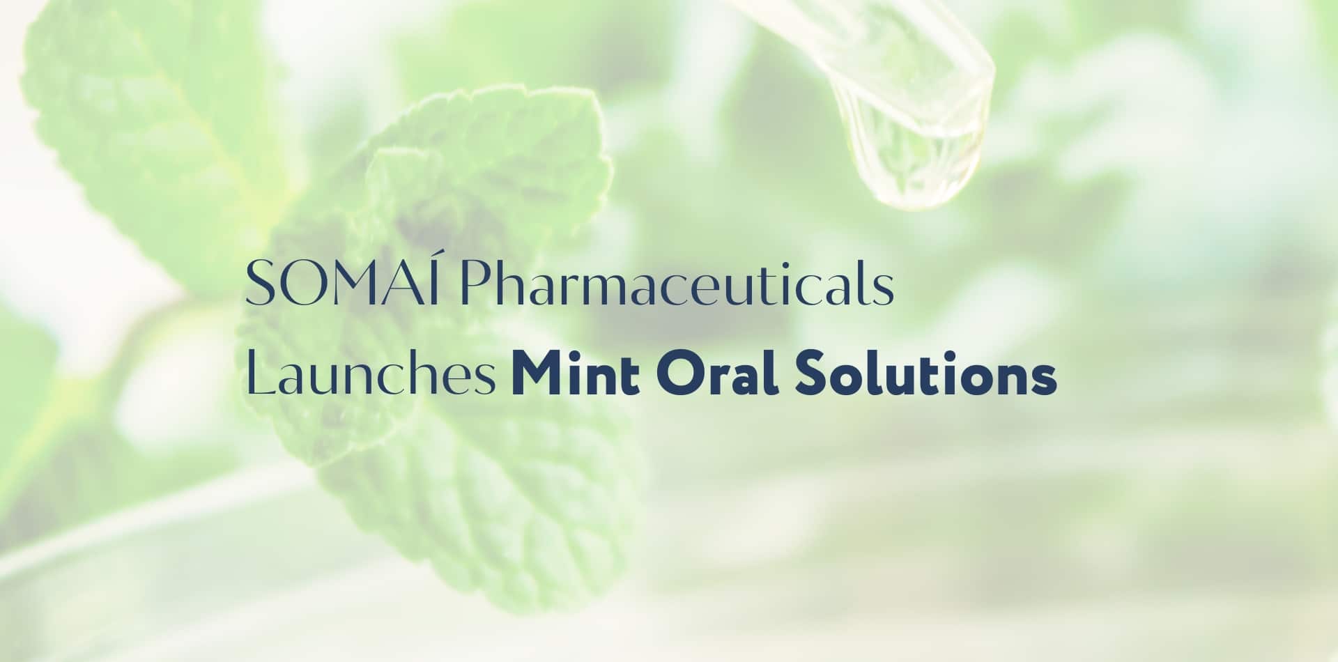 SOMAÍ Pharmaceuticals rozszerza swoje najbardziej kompleksowe portfolio leczniczych konopi indyjskich, wprowadzając na rynek nową linię Mint Oral Solutions.