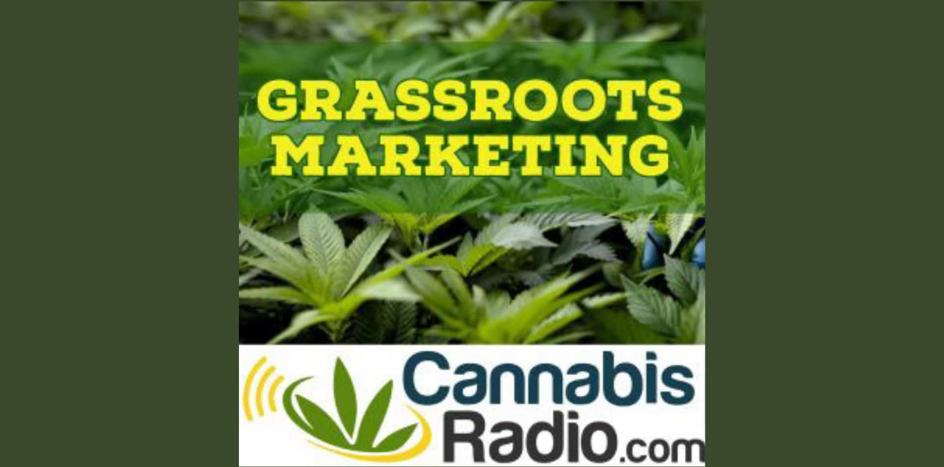 Podcast Glassroots Marketing: Marihuana farmaceutyczna i wpływ Big Pharma