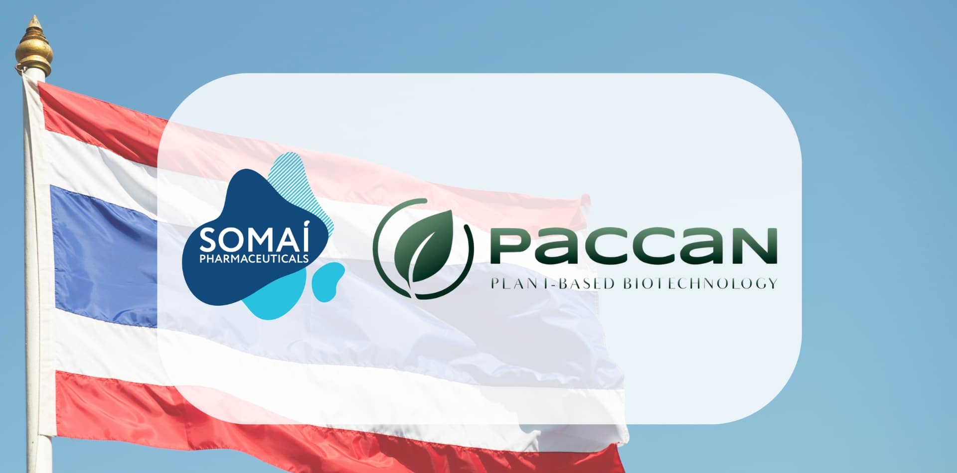 SOMAÍ Pharmaceuticals and PACCAN Join Forces to Transform Medicinal Cannabis in Asia and Beyond